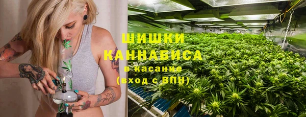 спайс Каменка