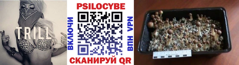 Галлюциногенные грибы Magic Shrooms  блэк спрут сайт  Красноуральск  наркошоп 